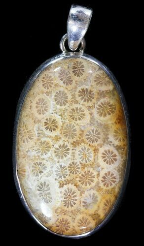 Million Year Old Fossil Coral Pendant - Sterling Silver #49572